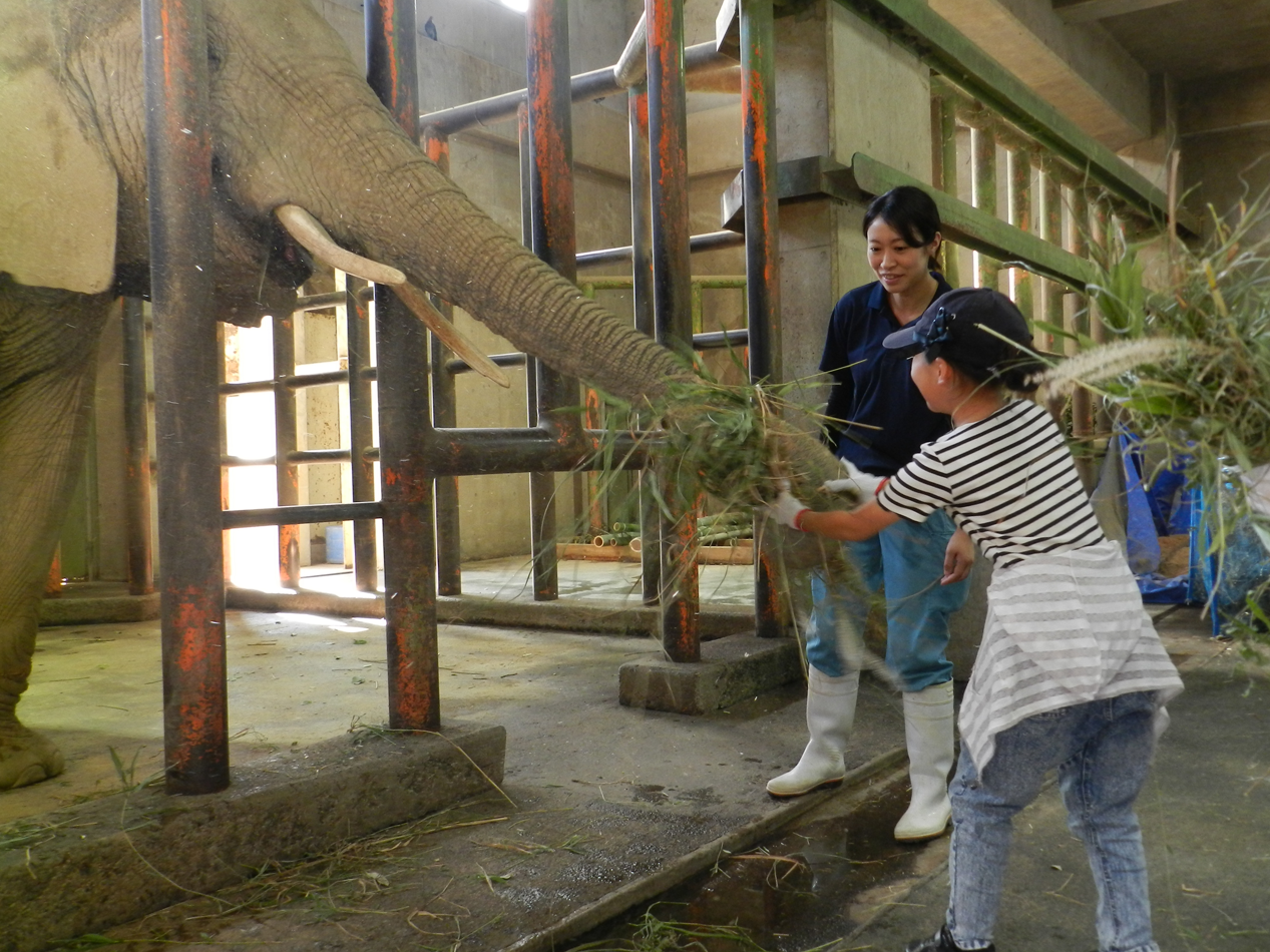阿蘇の野草観察と草原探検の様子