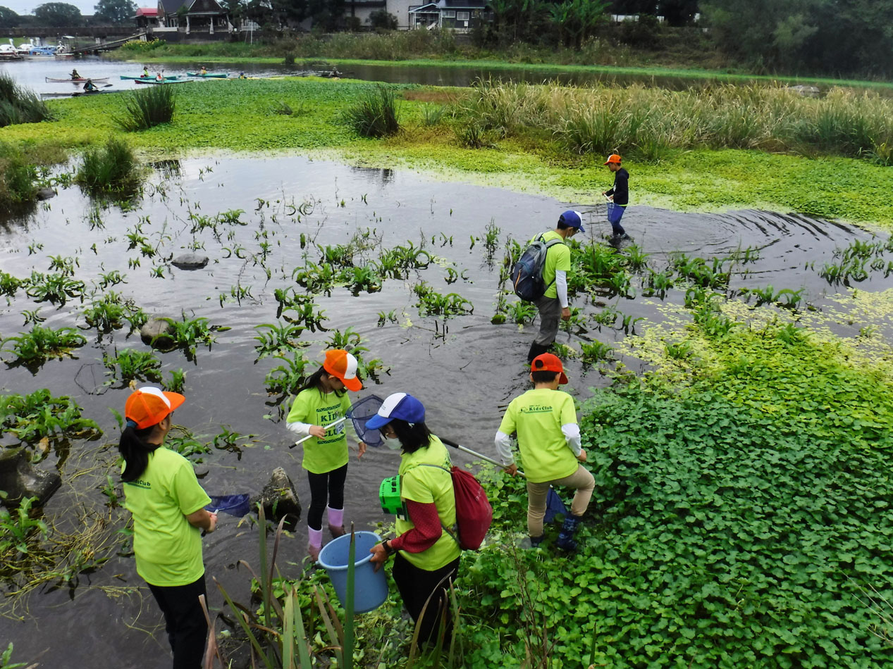 四季の生き物観察（熊本市内の江津湖など）